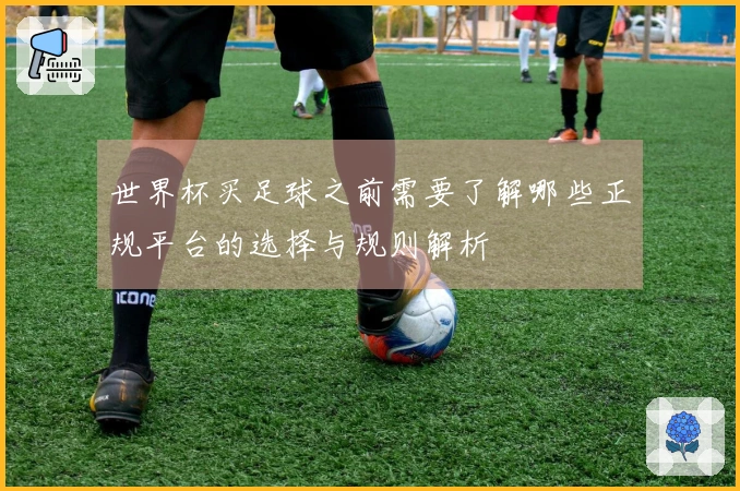 世界杯买足球之前需要了解哪些正规平台的选择与规则解析