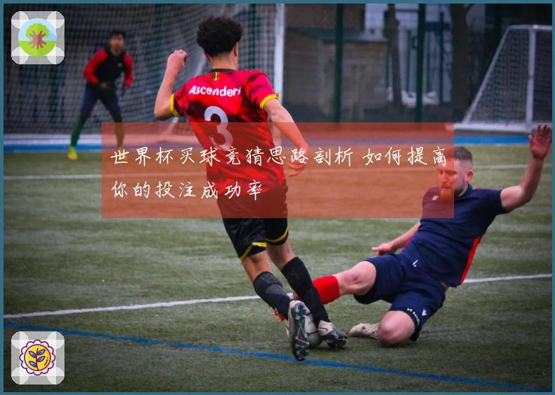 世界杯买球竞猜思路剖析 如何提高你的投注成功率